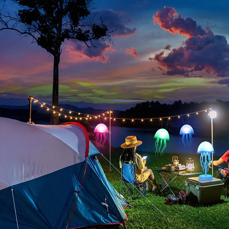 S802cf9fd89e14a699fecc79459d51c1fs